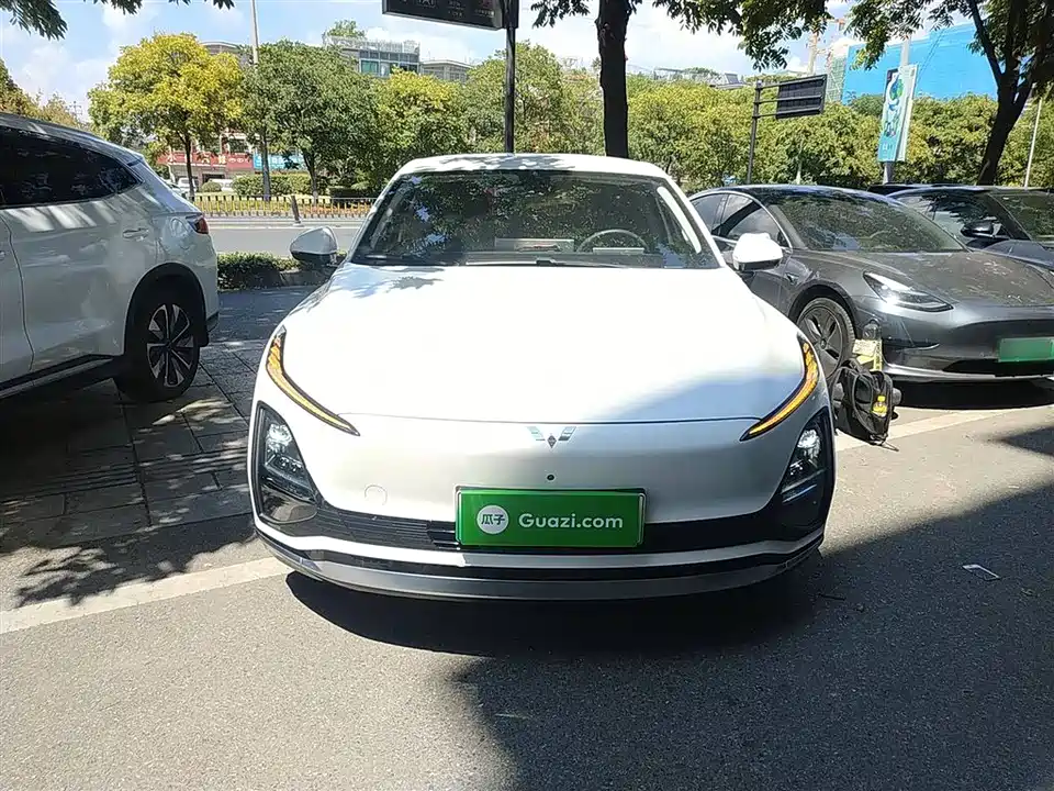 Wuling Wuling Starlight