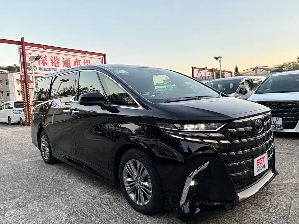 Toyota Elfa