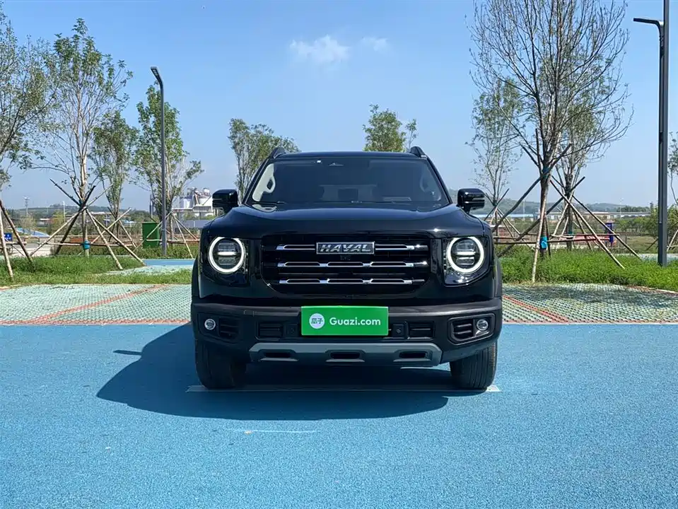 Haval Big dog