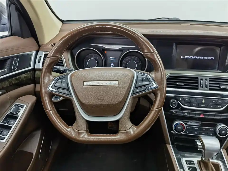 Leopaard Cheetah CS10