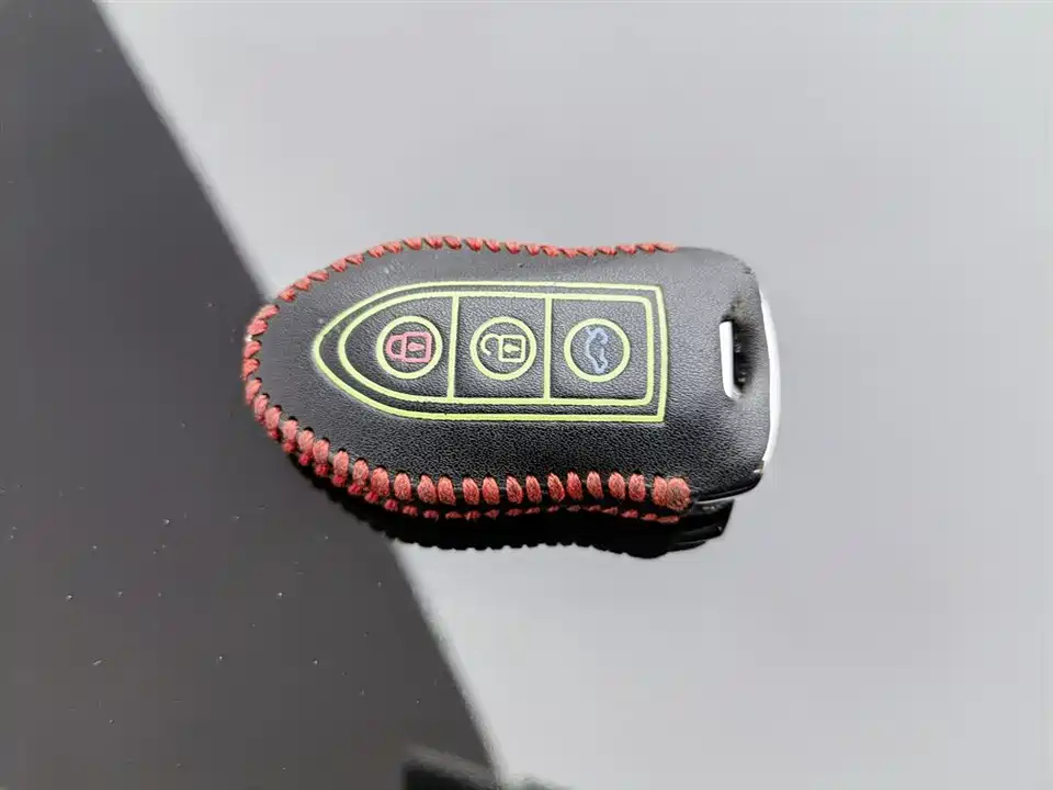 Leopaard Cheetah CS10