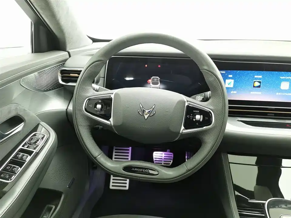 ARCFOX Polar Fox Alpha S