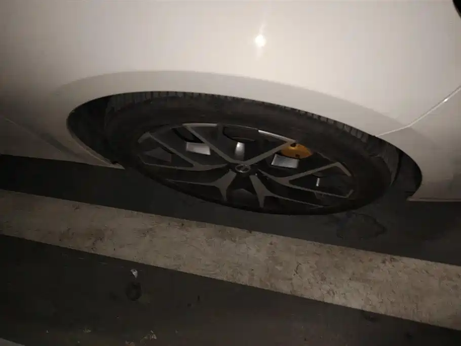 Trumpchi Shadow Leopard