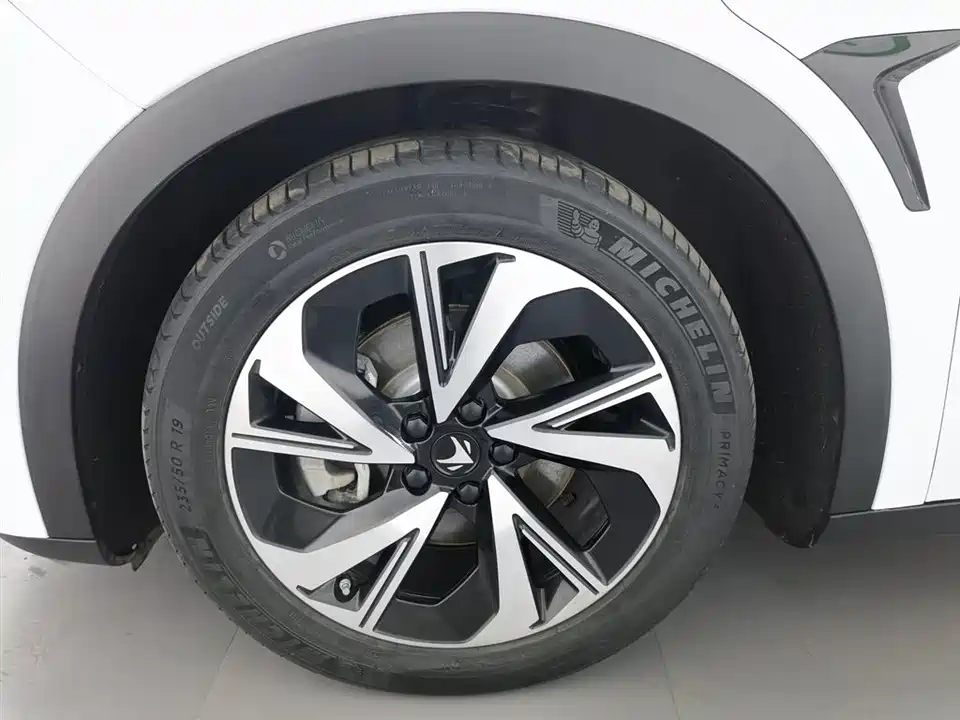 ARCFOX Polar Fox Alpha S