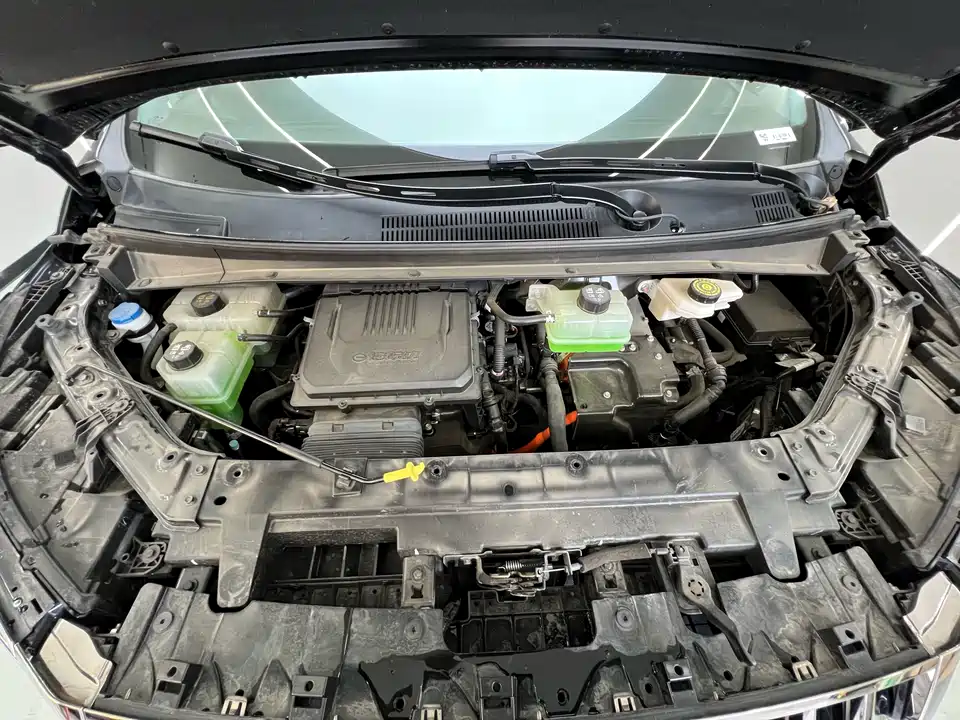 Trumpchi Trumpchi E9