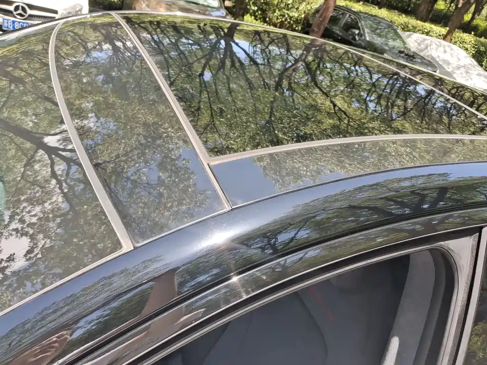 ARCFOX Polar Fox Alpha S