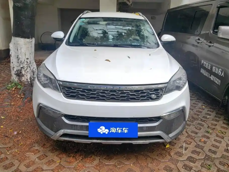 Leopaard Cheetah CS10