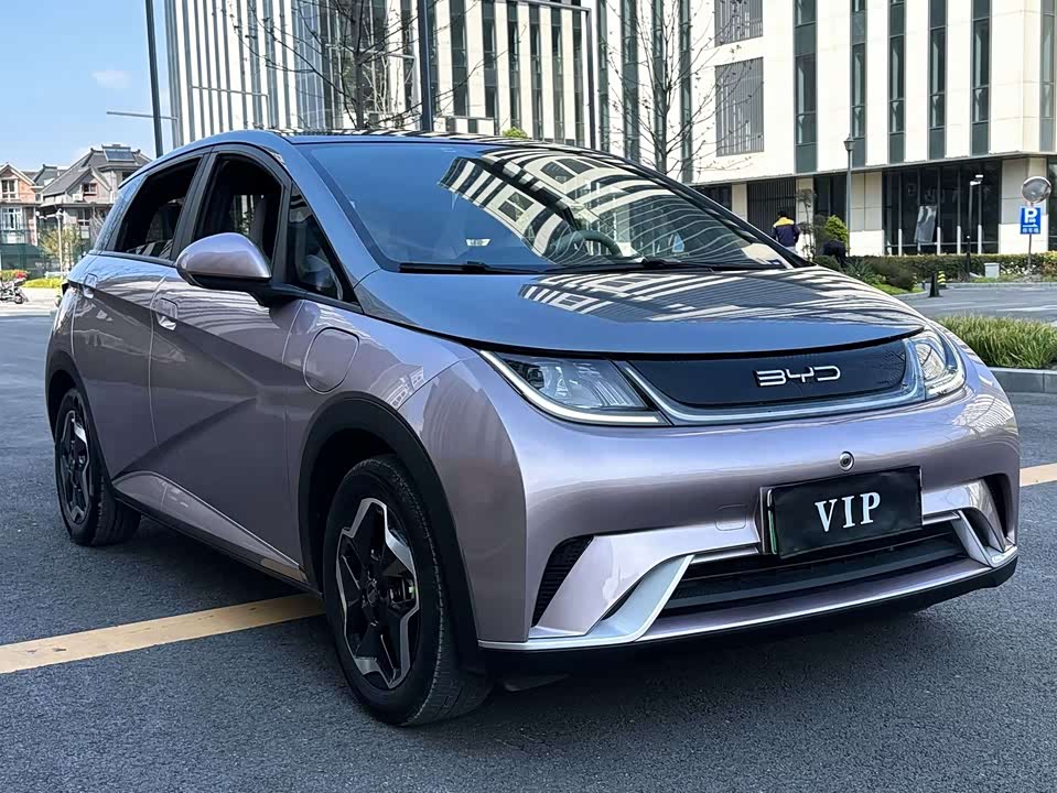 BYD dolphin