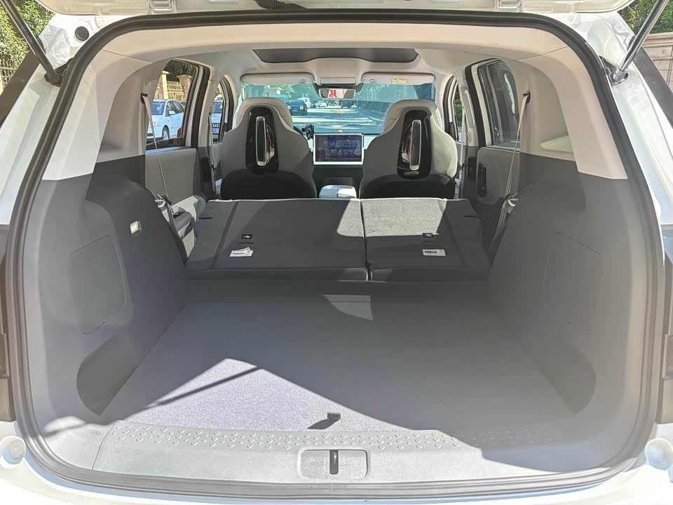 ARCFOX Polar Fox Koala S