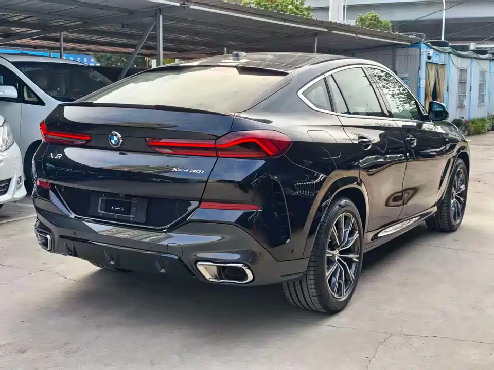 BMW X6