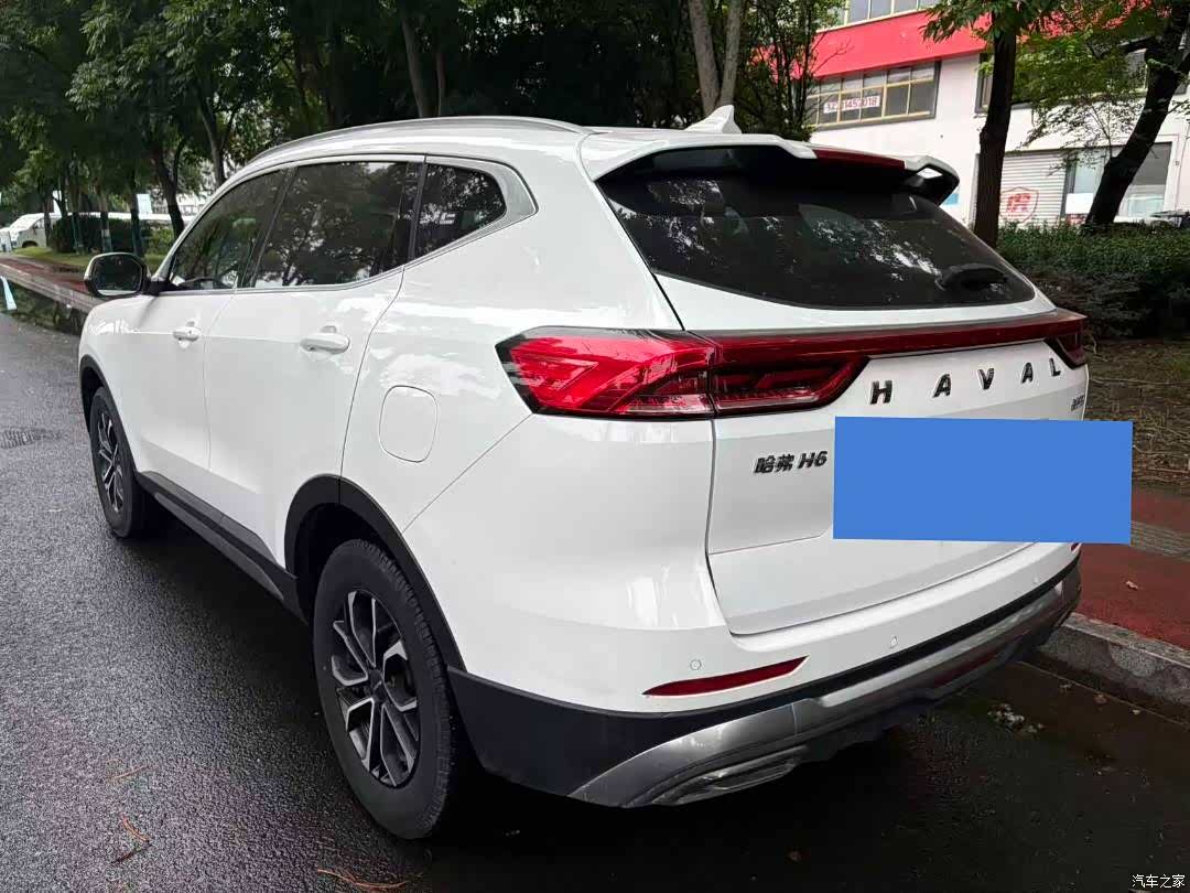 Haval H6, 2024 все фото