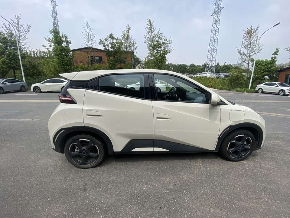 BYD Seagull