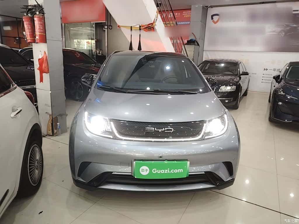 BYD Dolphin, 2024 3