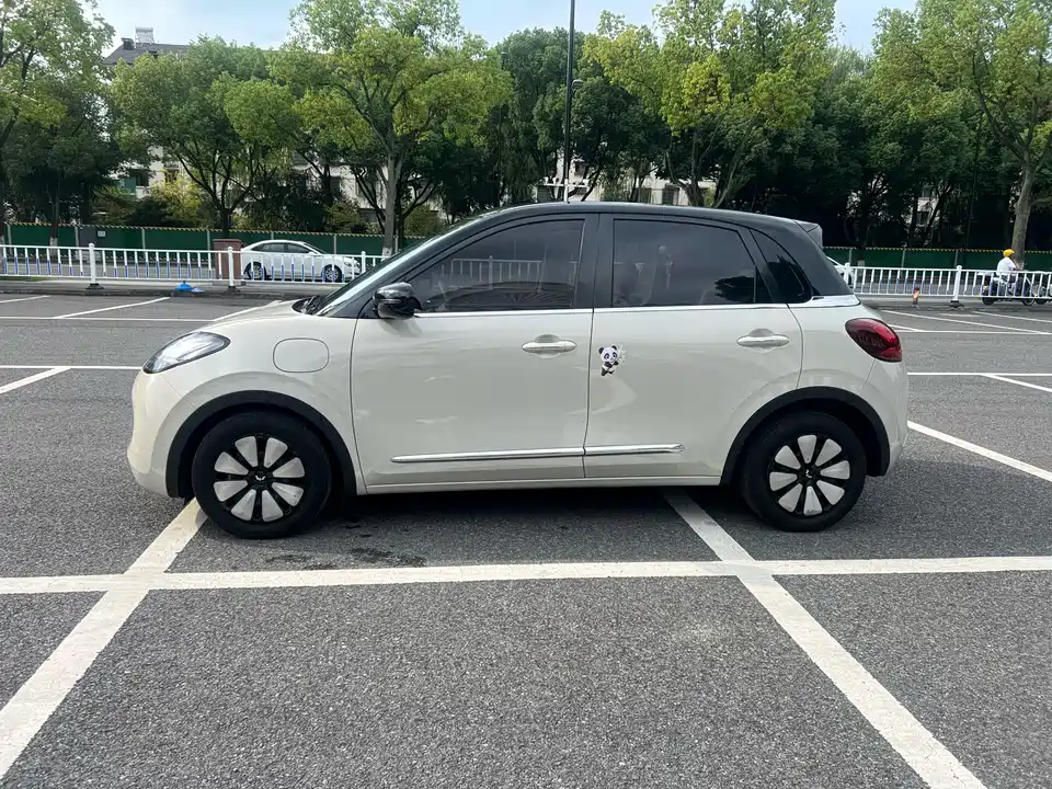 Wuling Wuling Bingguo