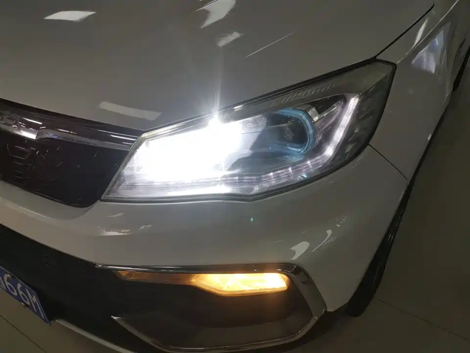 Leopaard Cheetah CS9