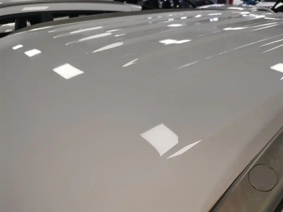 Leopaard Cheetah CS9