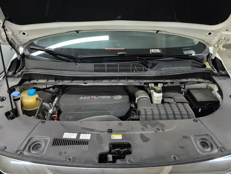 Trumpchi Trumpchi M8