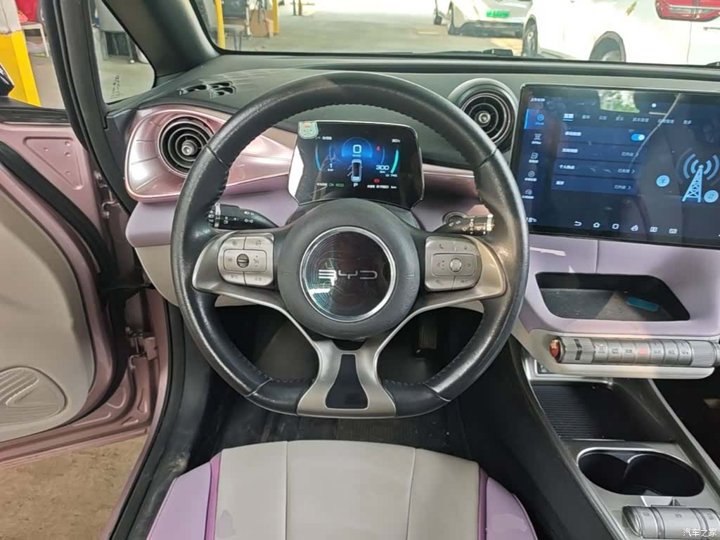 BYD Dolphin, 2022 11