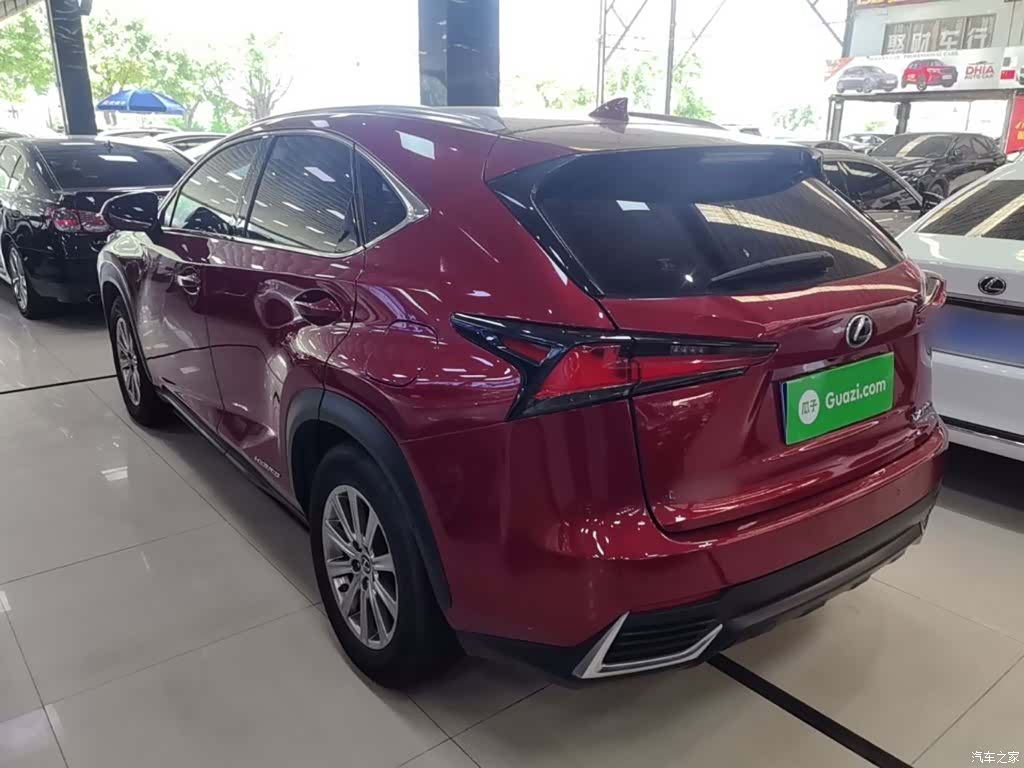 Lexus NX, 2018 все фото