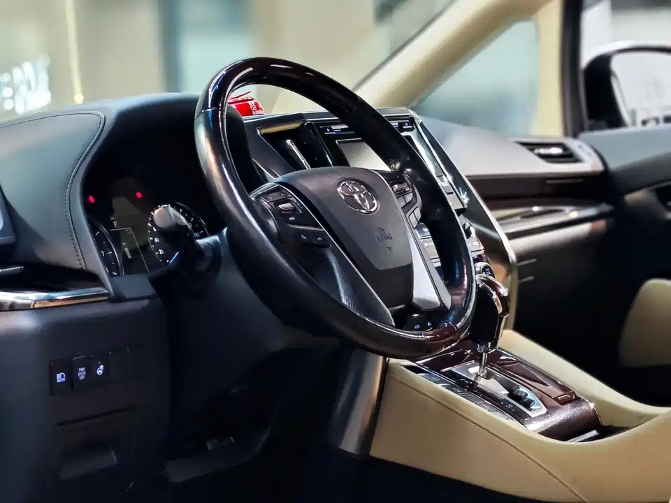 Toyota Elfa