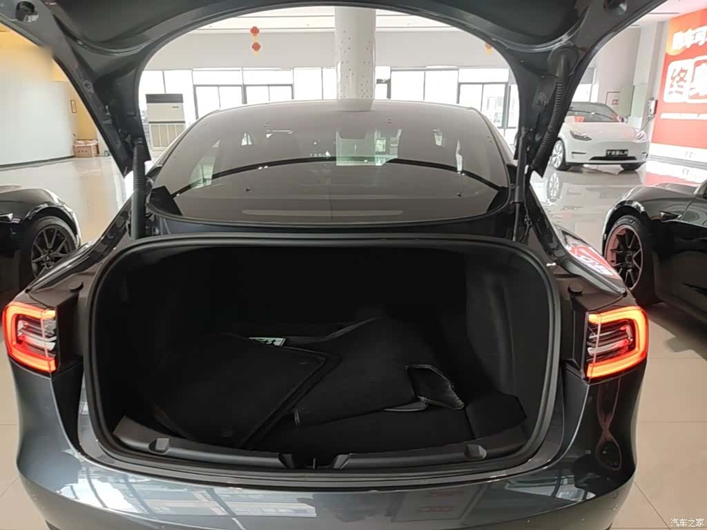 Tesla Model 3, 2021 19