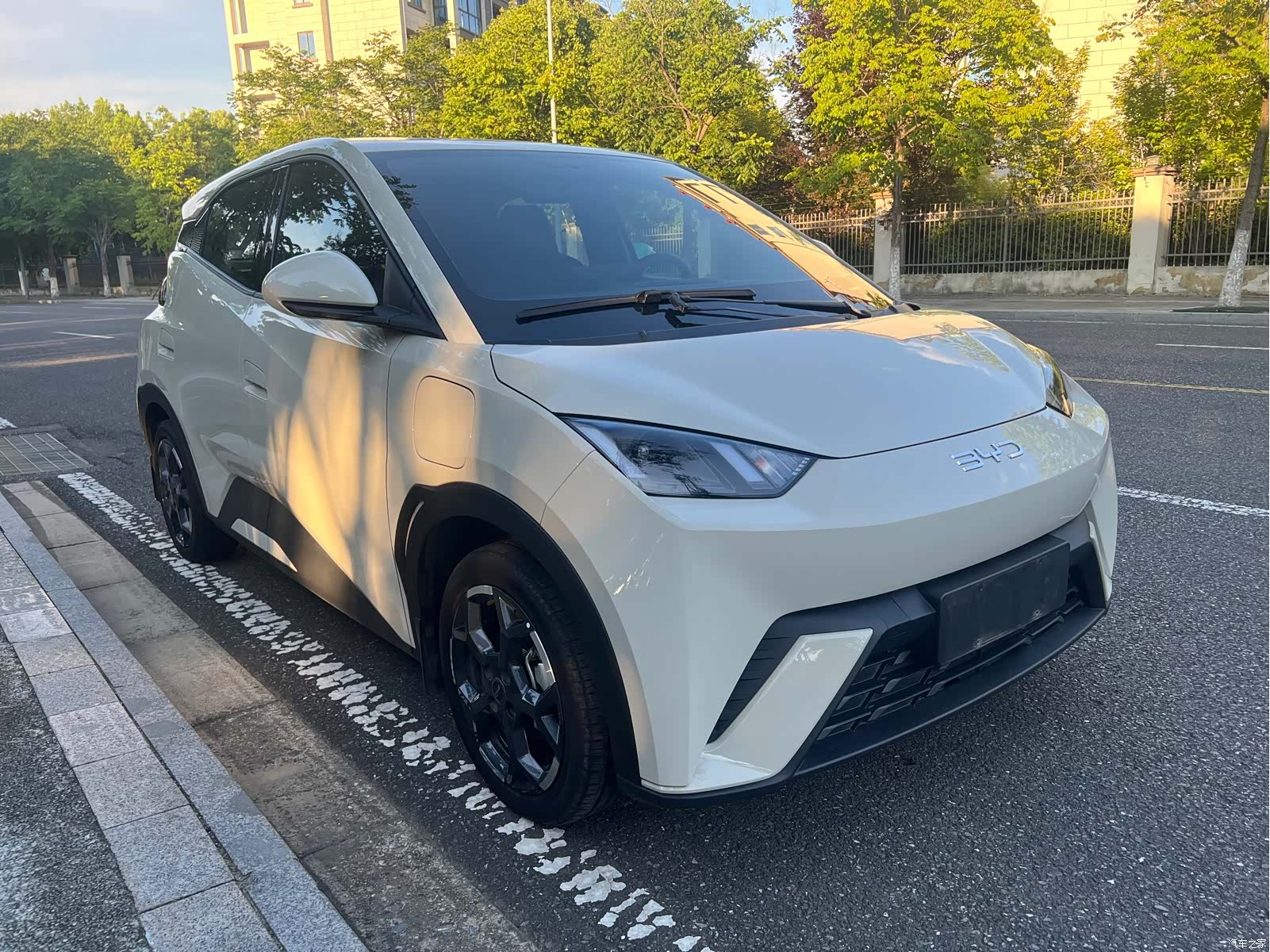 BYD Seagull, 2025 3