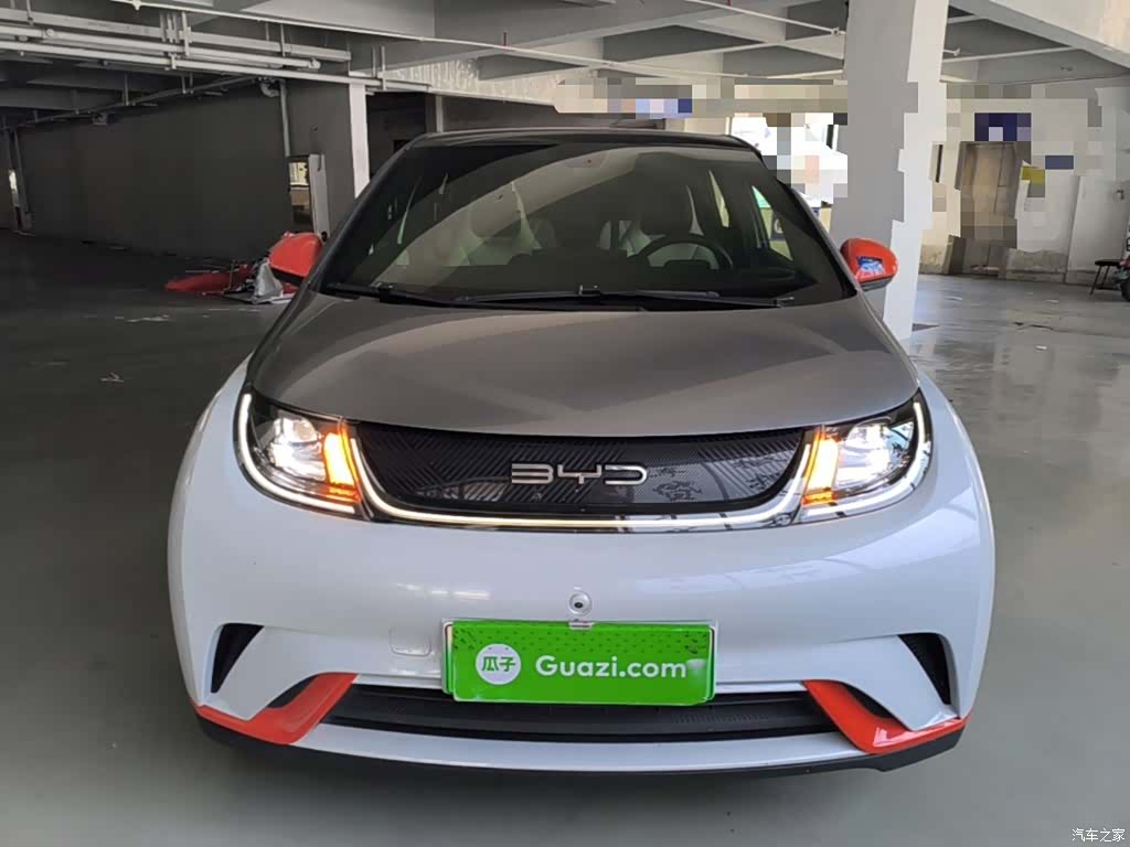 BYD Dolphin, 2021 3