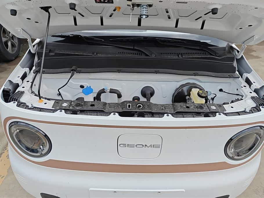 Geely Galaxy panda Geely Galaxy panda