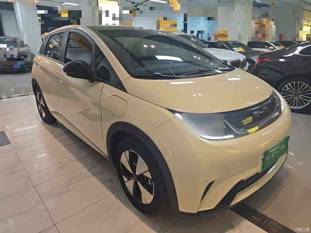 BYD Dolphin, 2023 4