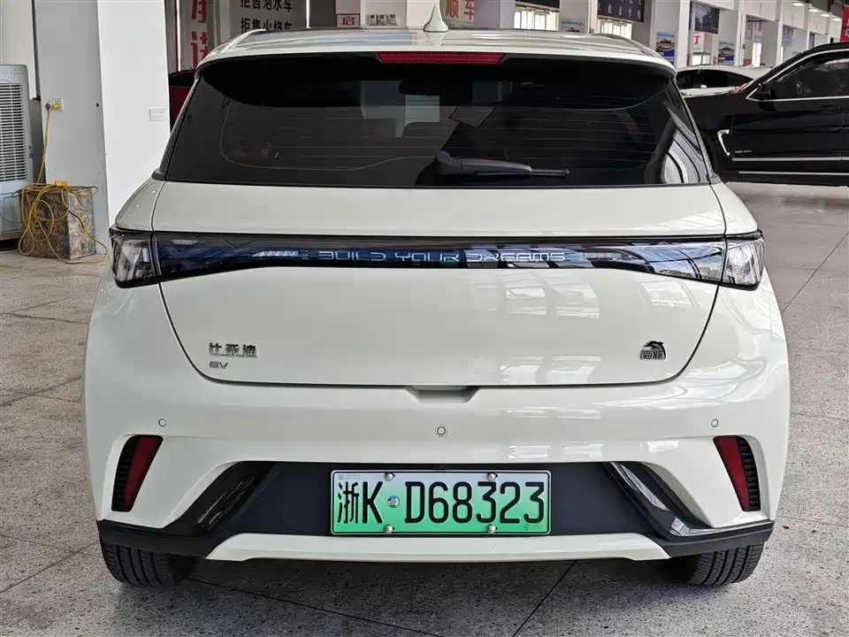 BYD dolphin