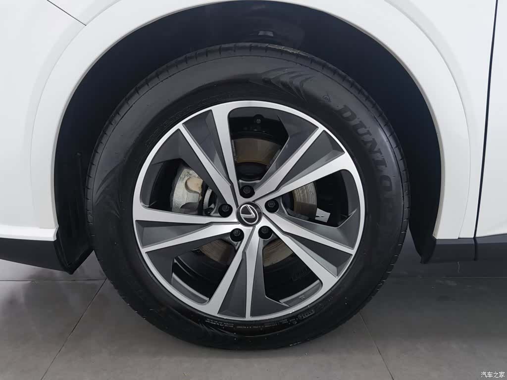 Lexus RX, 2024 17