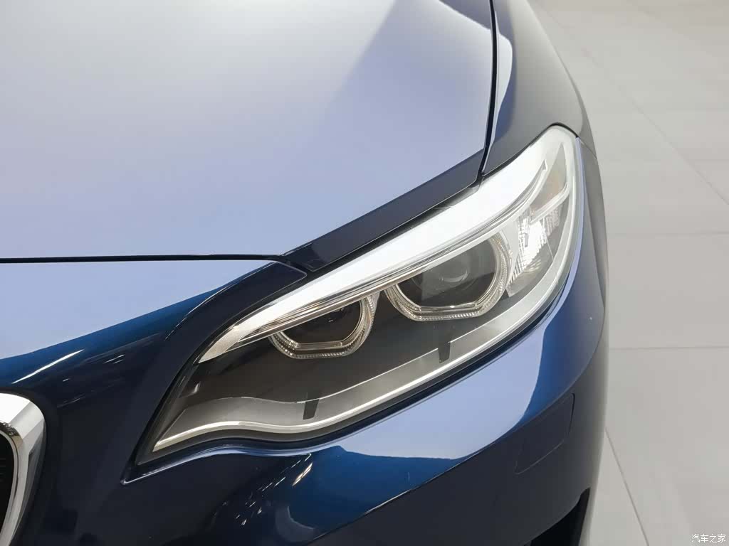 BMW 2 Series, 2017 7
