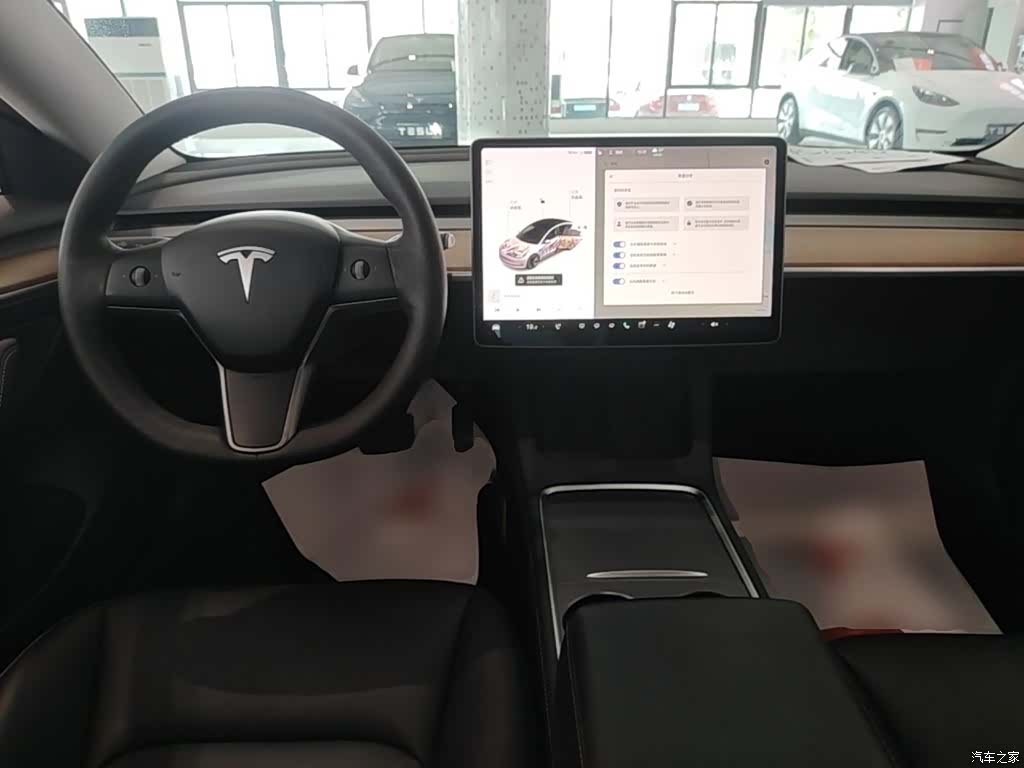 Tesla Model 3, 2021 10