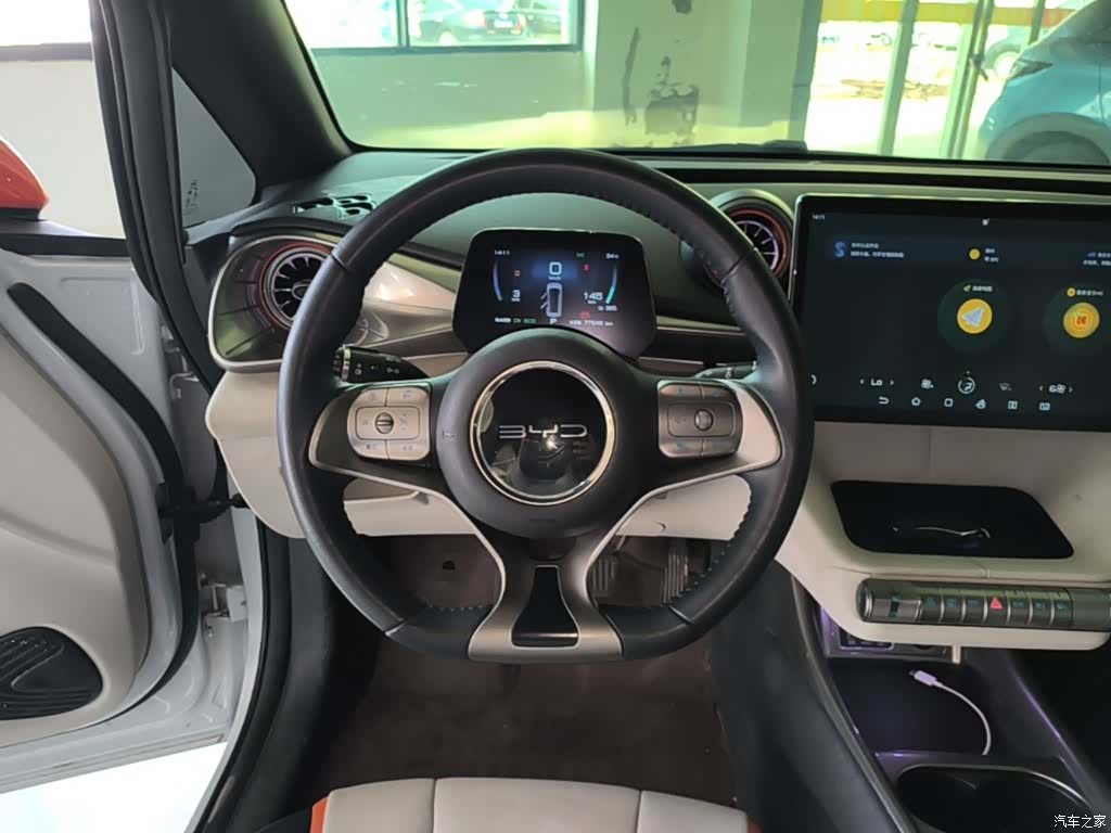 BYD Dolphin, 2021 11