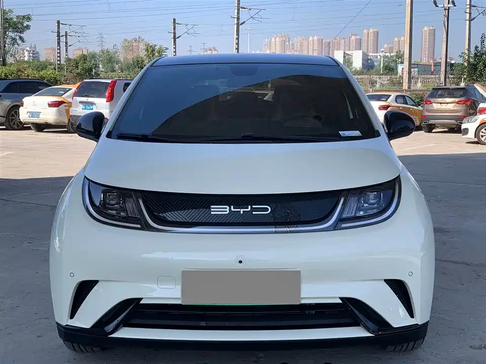 BYD dolphin