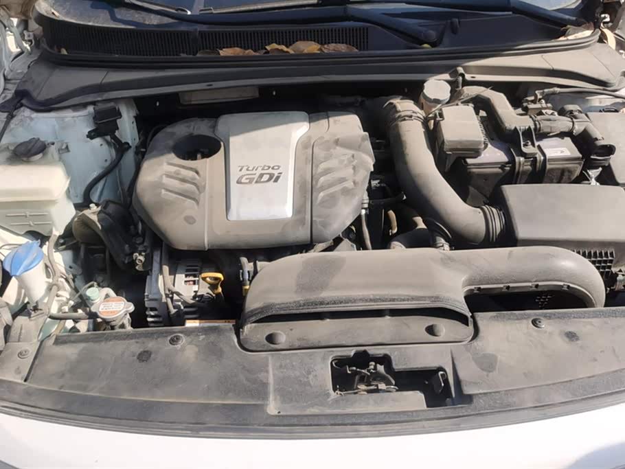 Hyundai Name picture