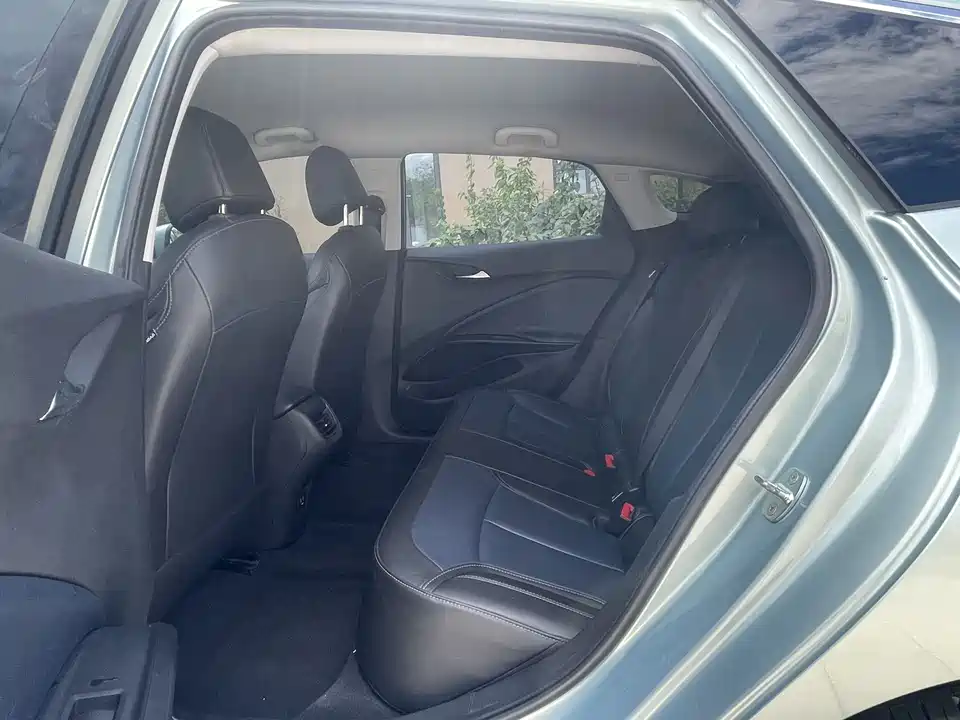 Buick Slightly blue 6