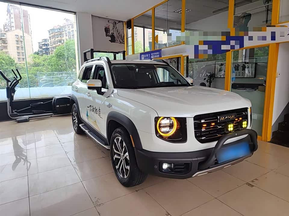 Haval Big dog