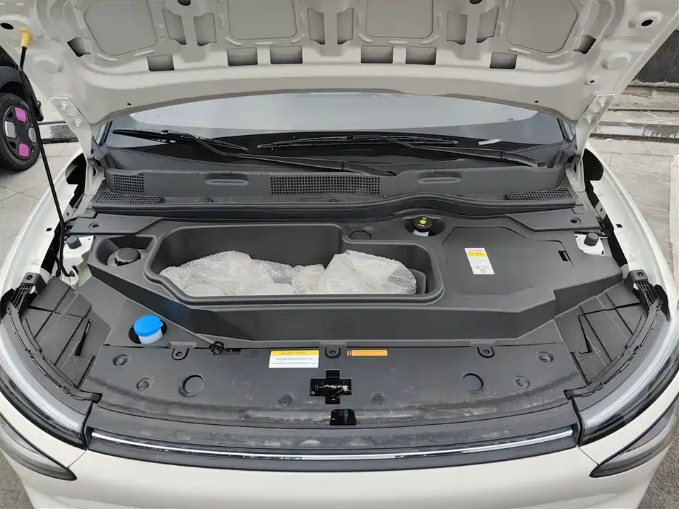 Dongfeng Nammi Nano 01