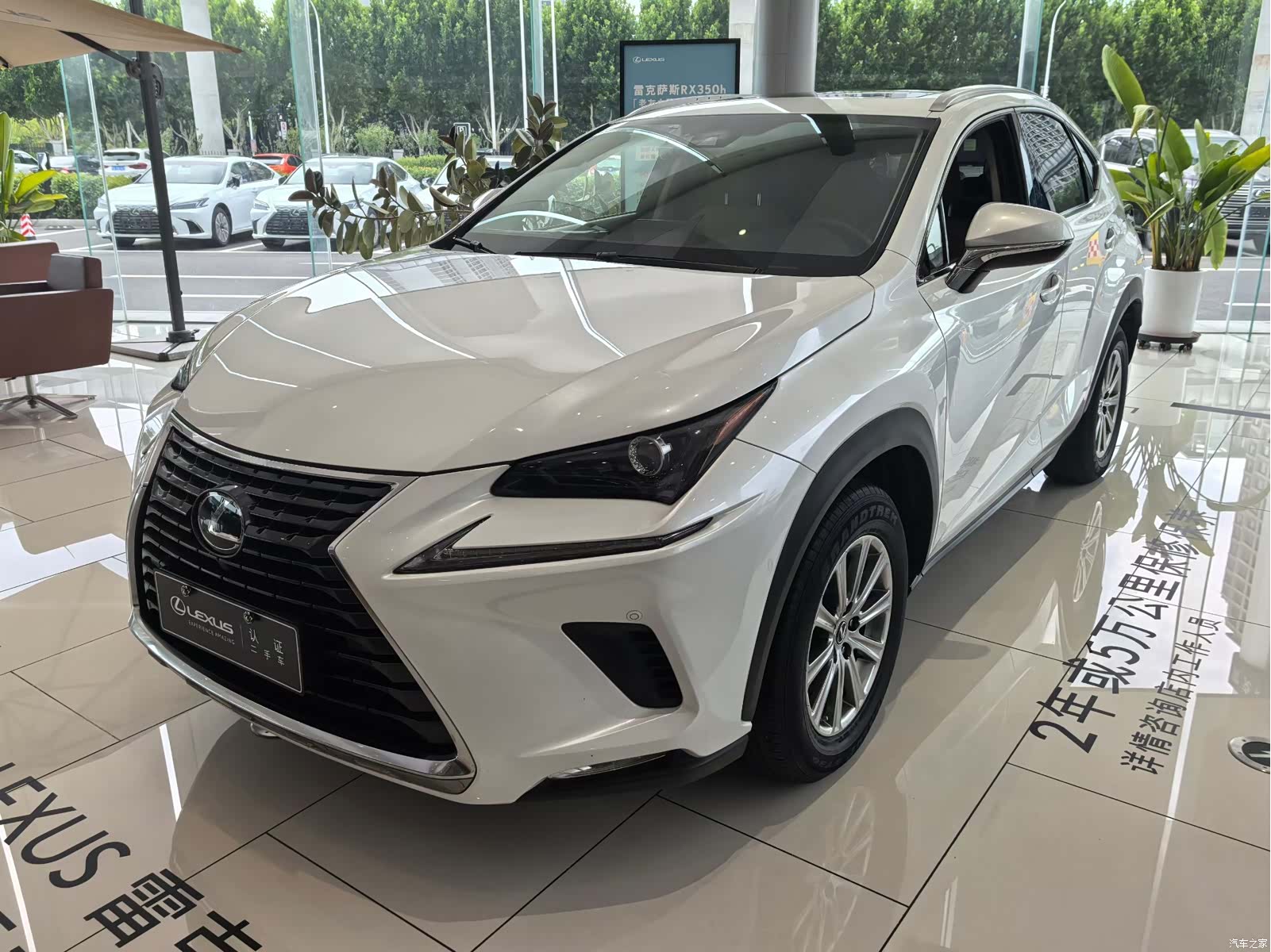 Lexus NX, 2021 1