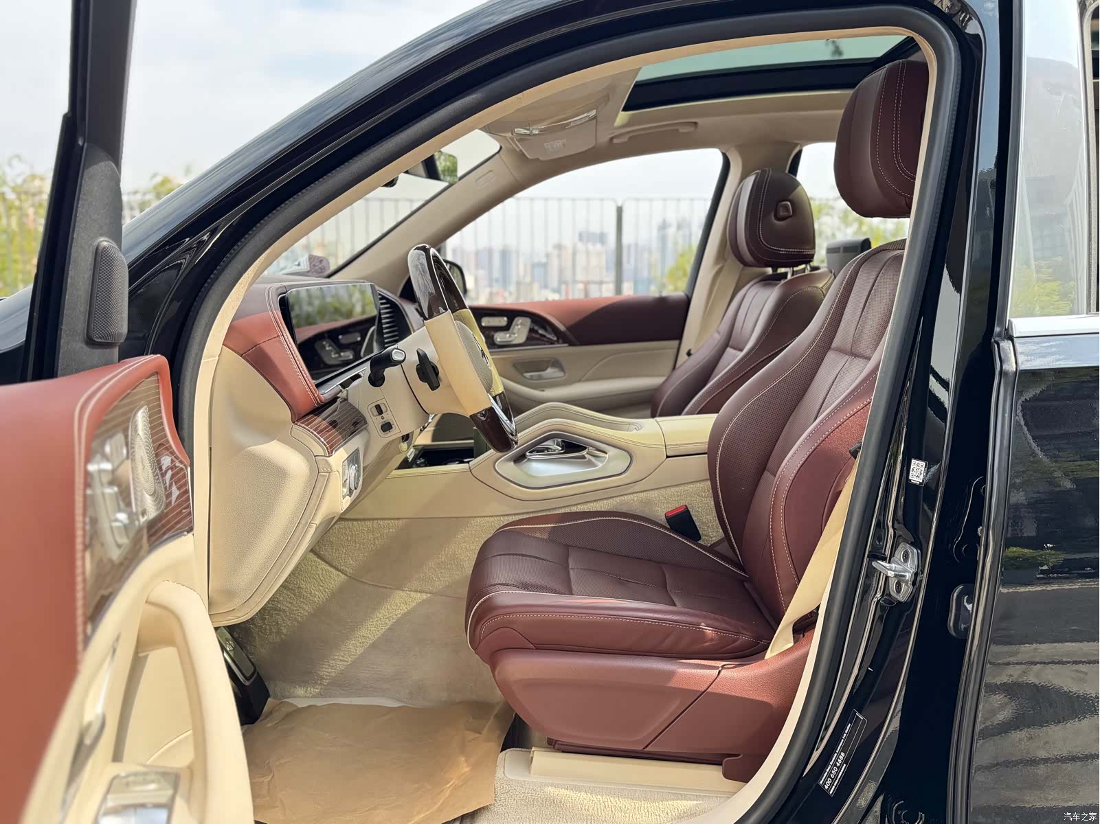 Maybach GLS, 2021 13