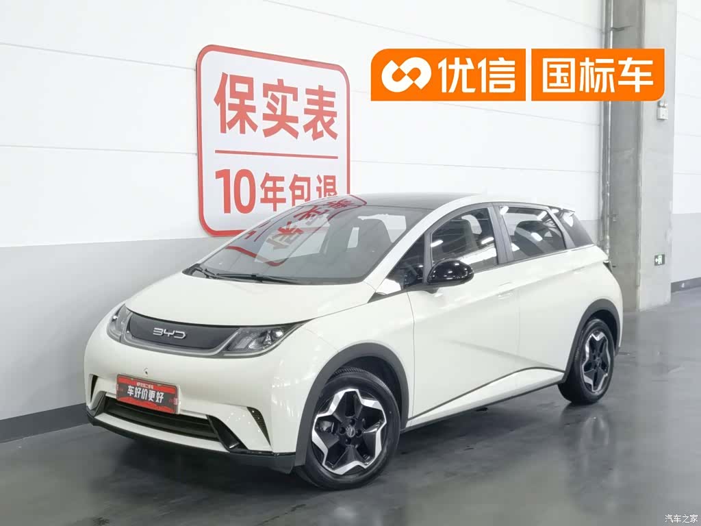 BYD Dolphin, 2023 1