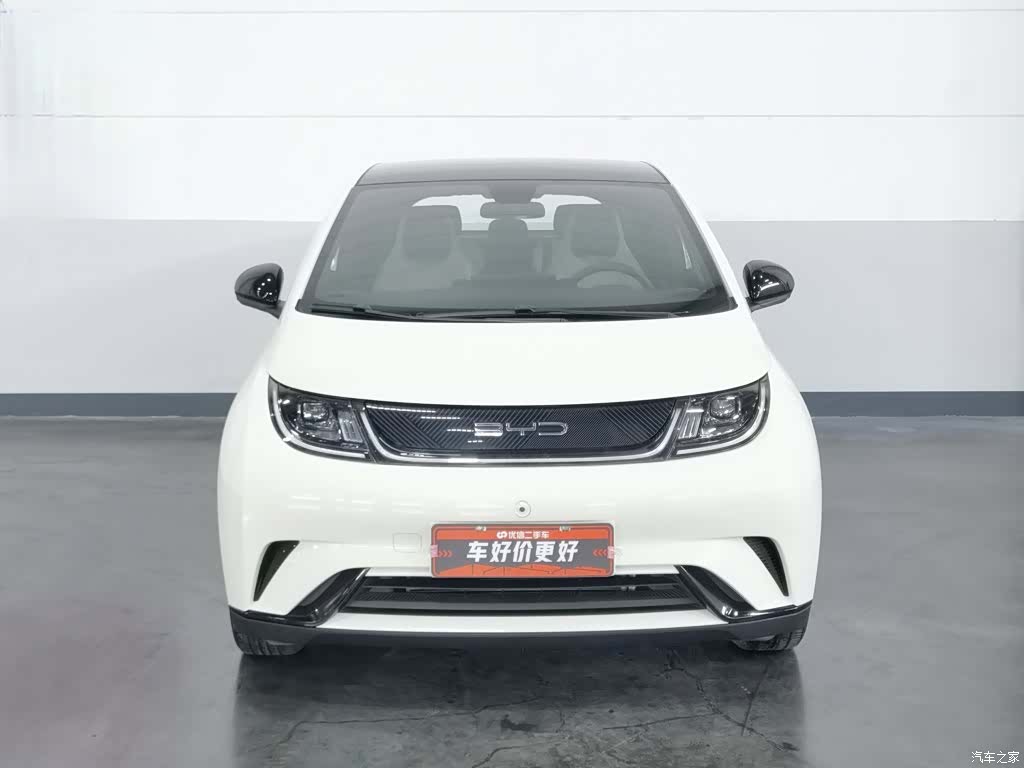 BYD Dolphin, 2023 3