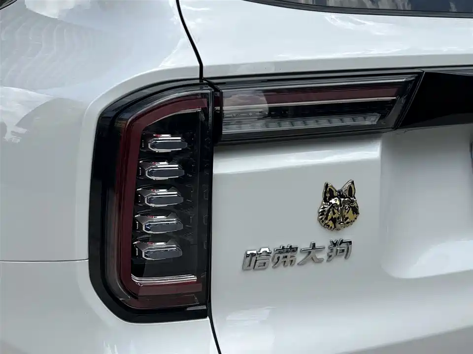 Haval Big dog