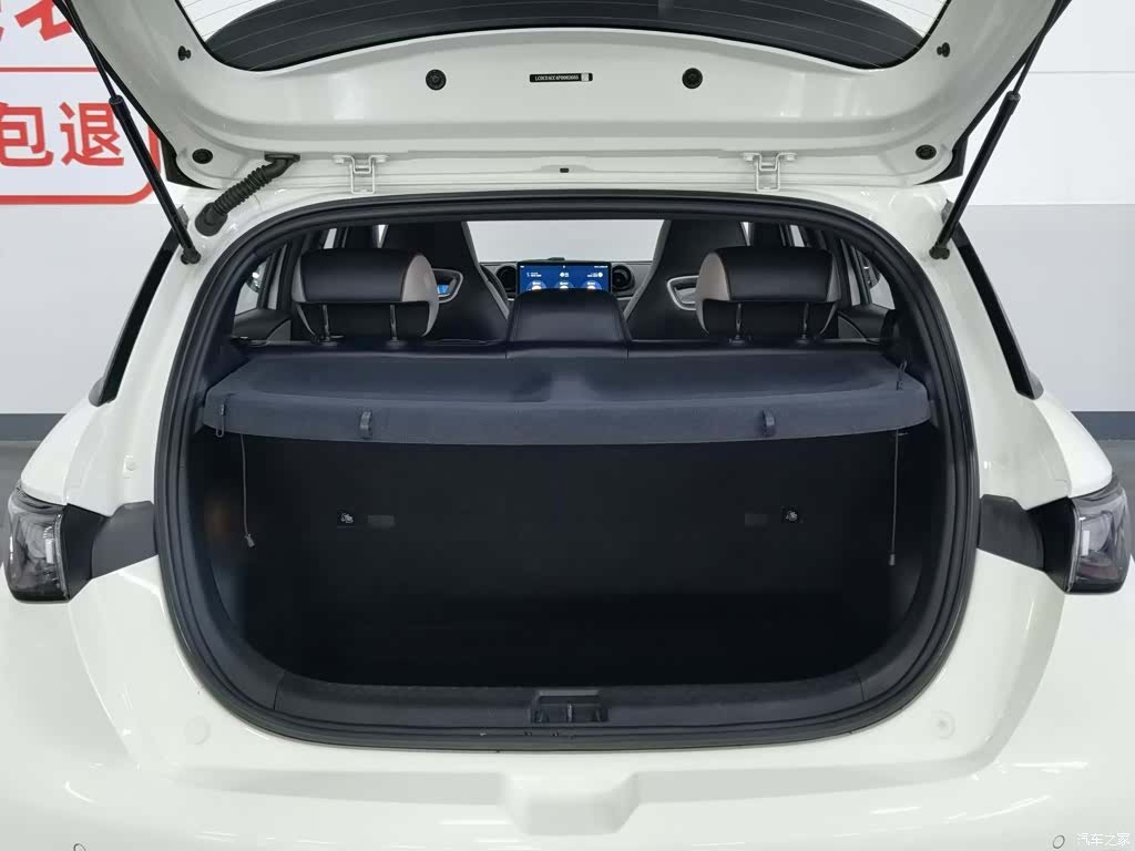 BYD Dolphin, 2023 16