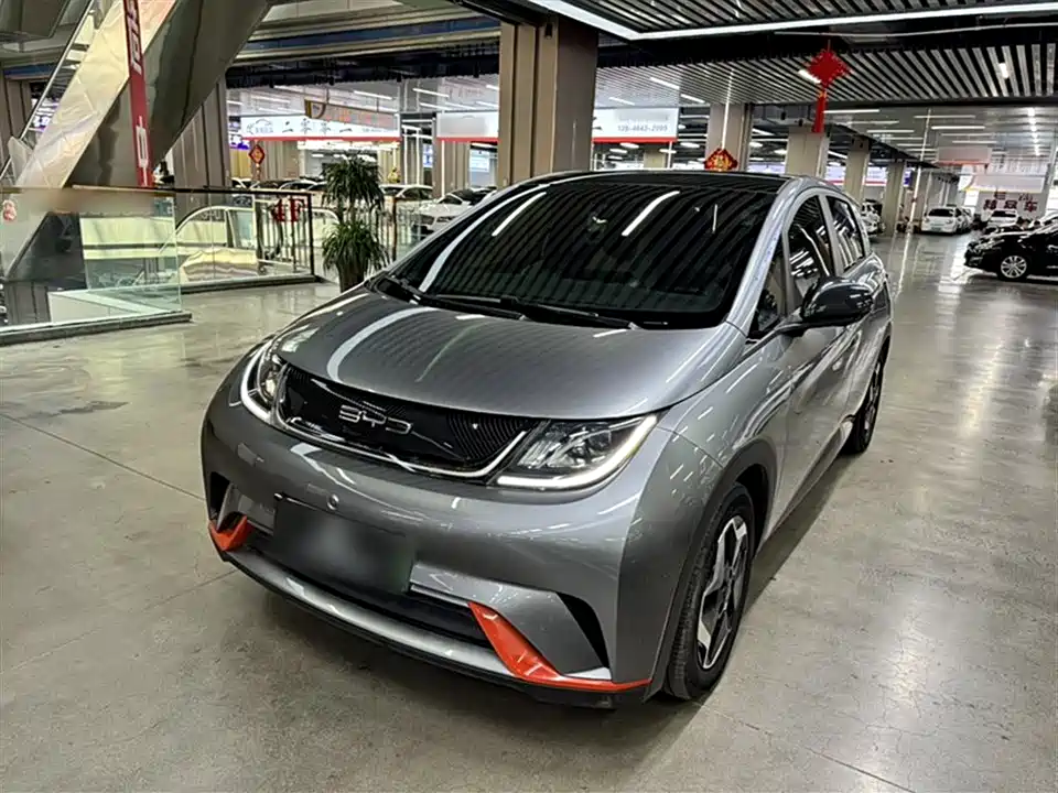 BYD dolphin