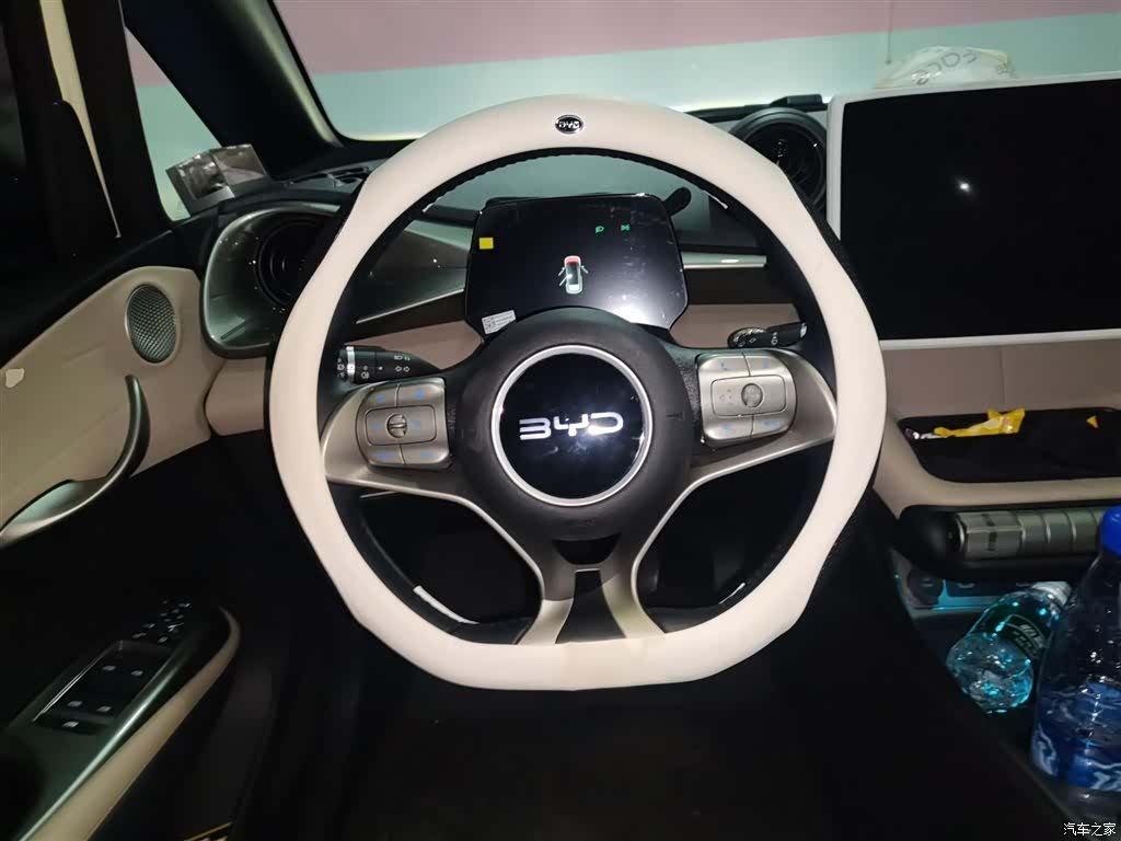 BYD Dolphin, 2024 3