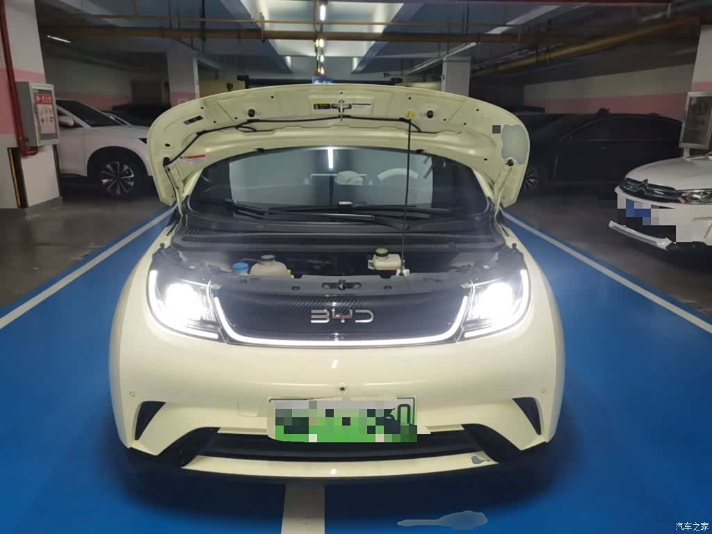 BYD Dolphin, 2024 11