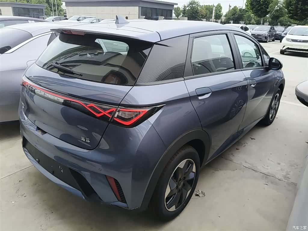 BYD Dolphin, 2026 7