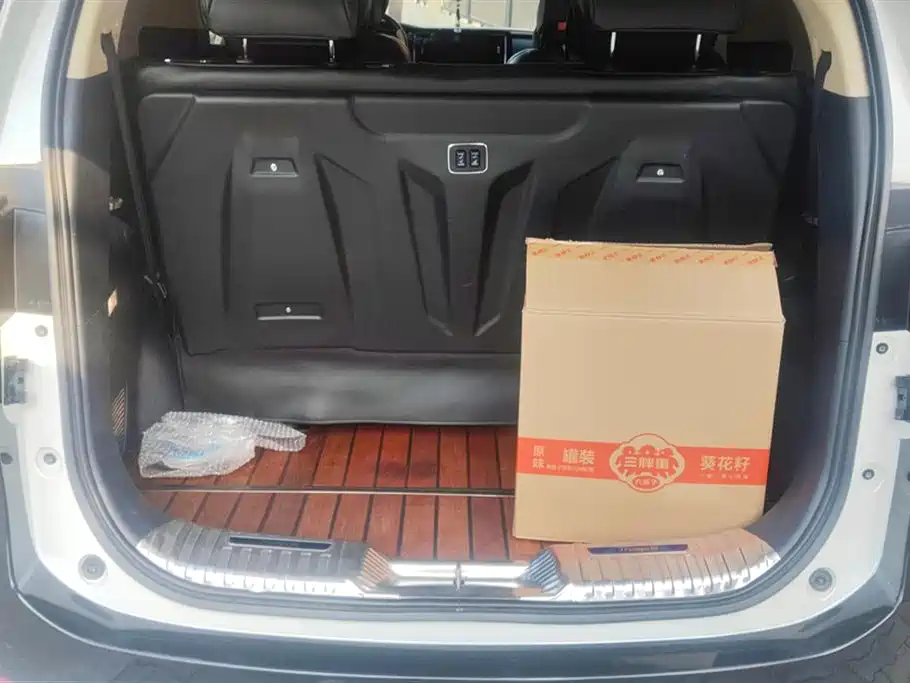 Trumpchi Trumpchi M8